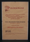 powiększ