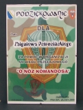 powiększ