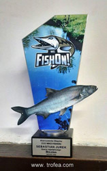 statuetka ryba boleń