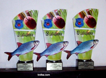 statuetka ryba płoć